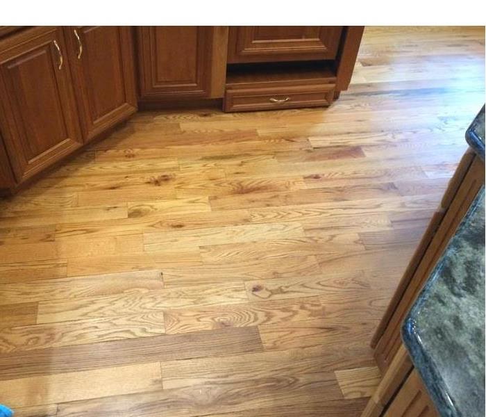 Wet wood floorboards in a kitchen