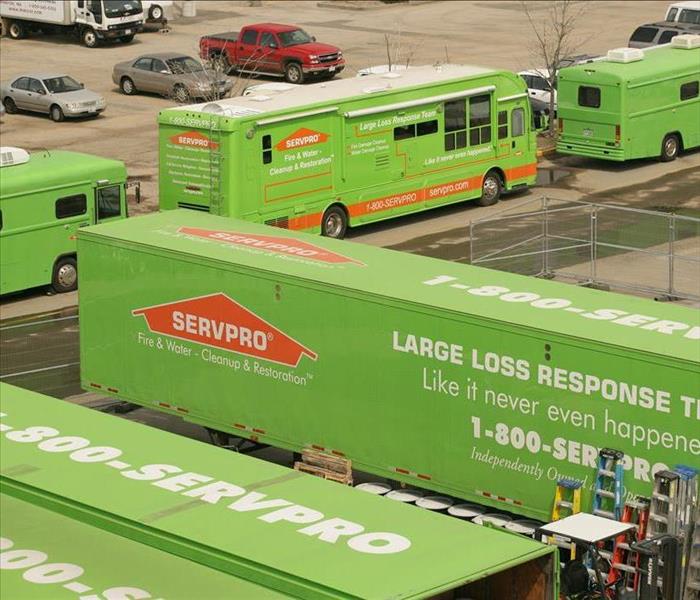 SERVPRO tractor trailers & trucks lined up in a parking lot.