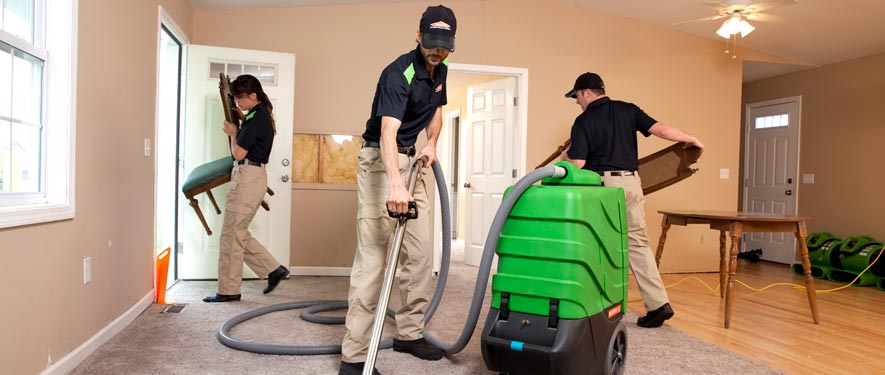New York City, NY cleaning services